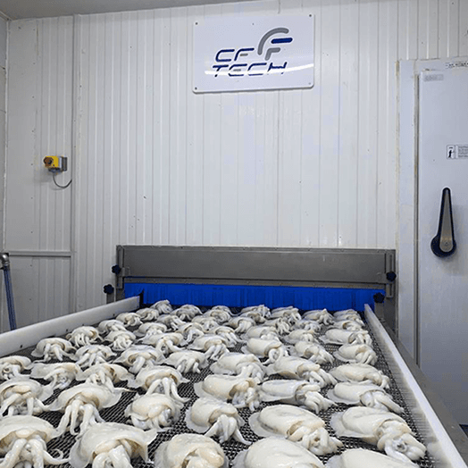 Processing Solutions